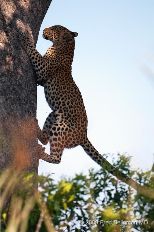 20090613_120247 D300 X1.jpg - He climbed down....